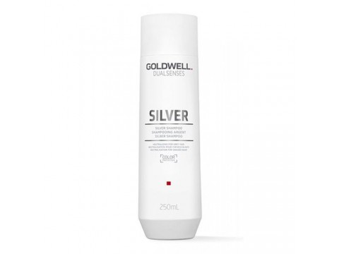 GOLDWELL Šviesių Plaukų Šampūnas Goldwell Dualsenses Silver Shampoo 250ml